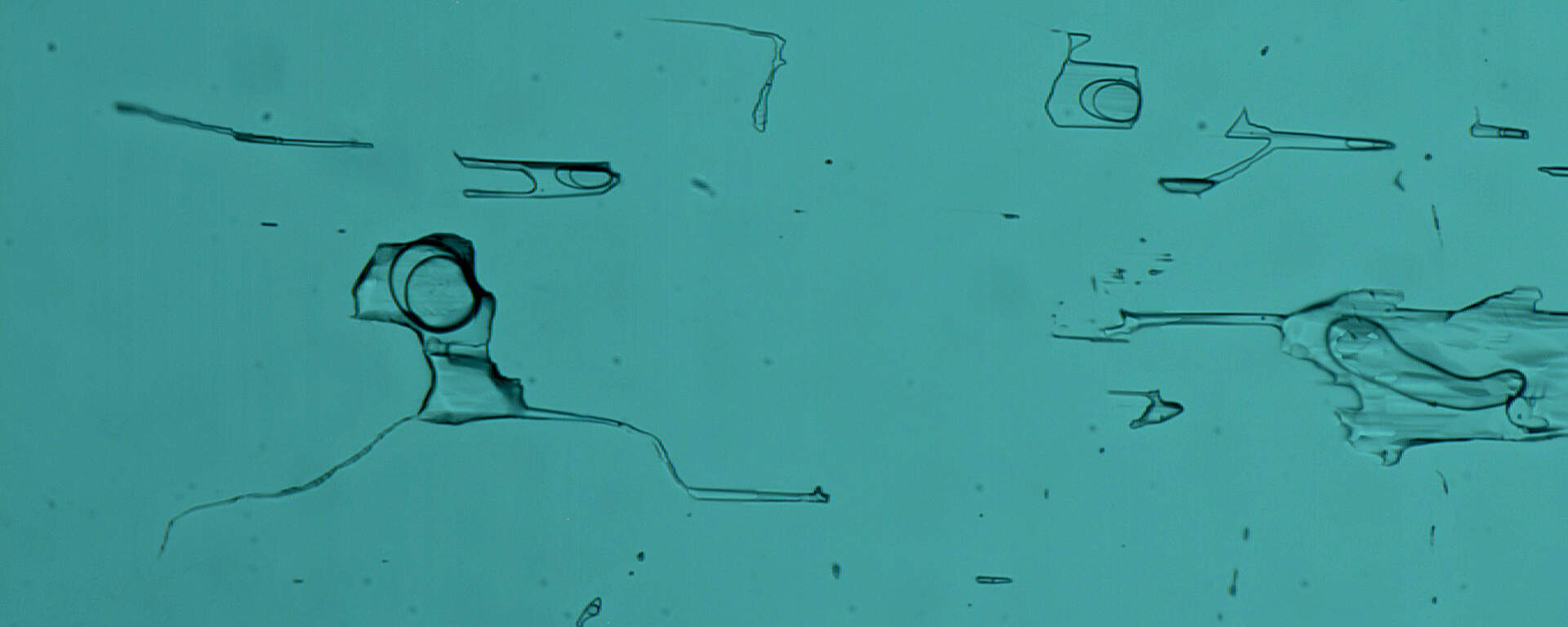 Two-phase inclusions in tourmaline from Namibia