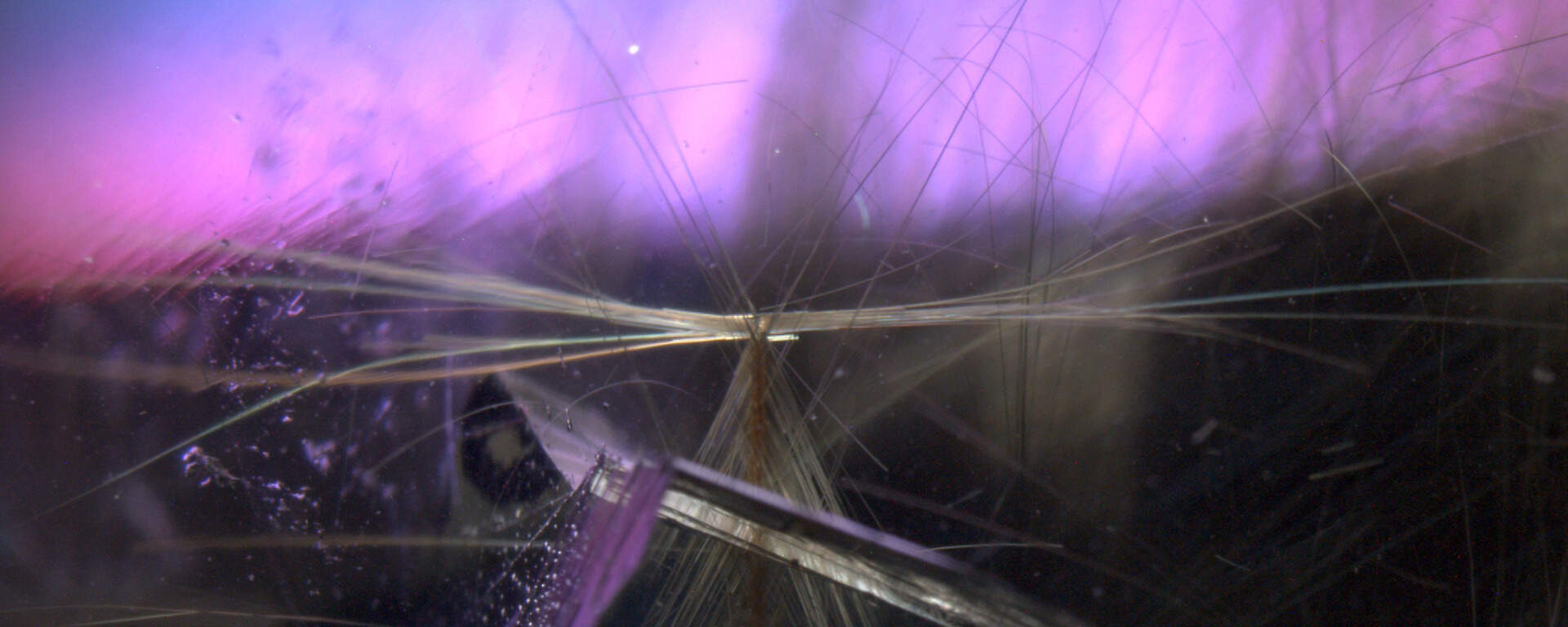 Inclusions of rutile (dark crystal and fine needles) and clusters of zircon grains in umbalite garnet, Tanzania