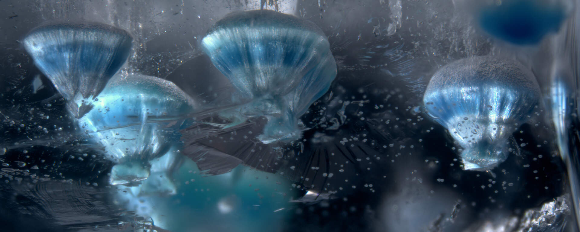 Inclusions of gilalite aggregates in rock crystal from Brazil